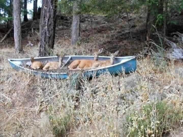 Suislepa Puhkemajad Villa Dış mekan fotoğraf